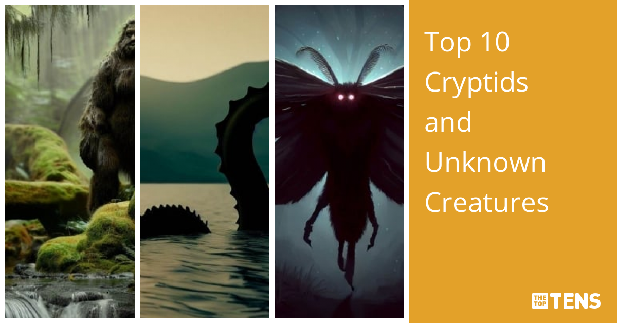 Top Cryptids And Unknown Creatures Thetoptens