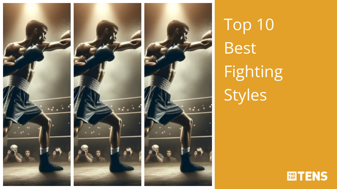 10 Fighting Styles image - Absolute Champion - IndieDB