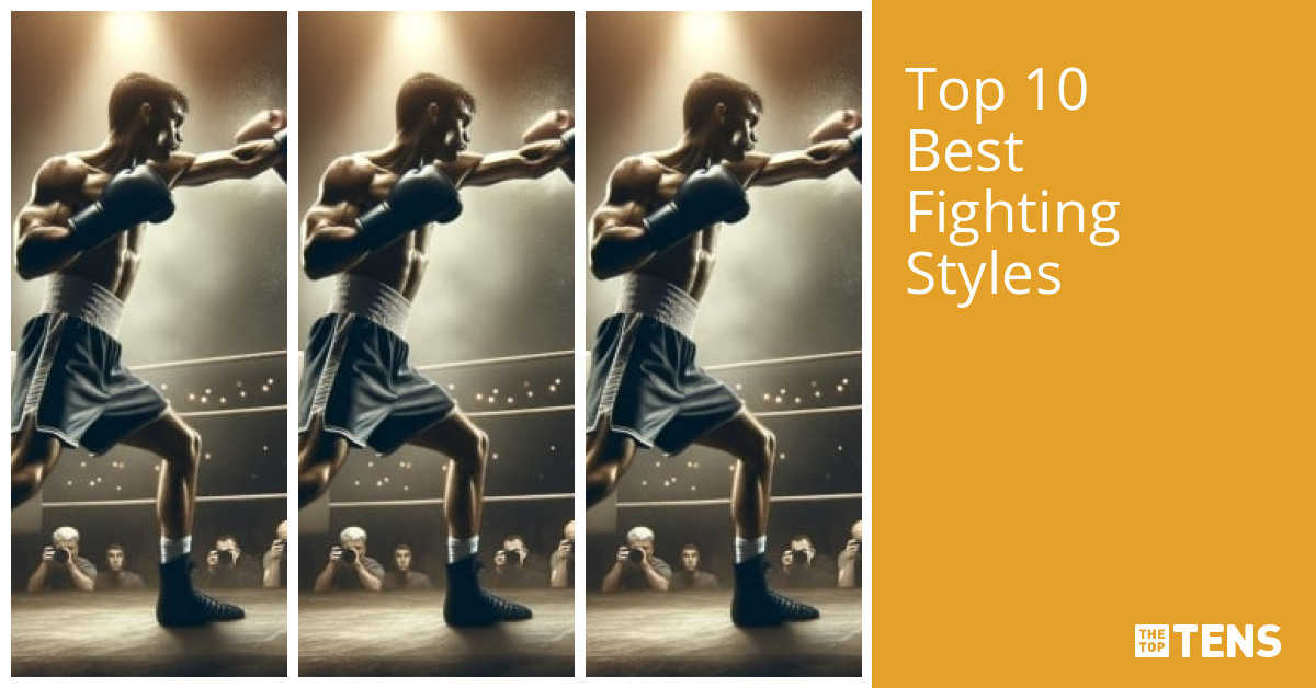 Top 10 Best Fighting Styles TheTopTens