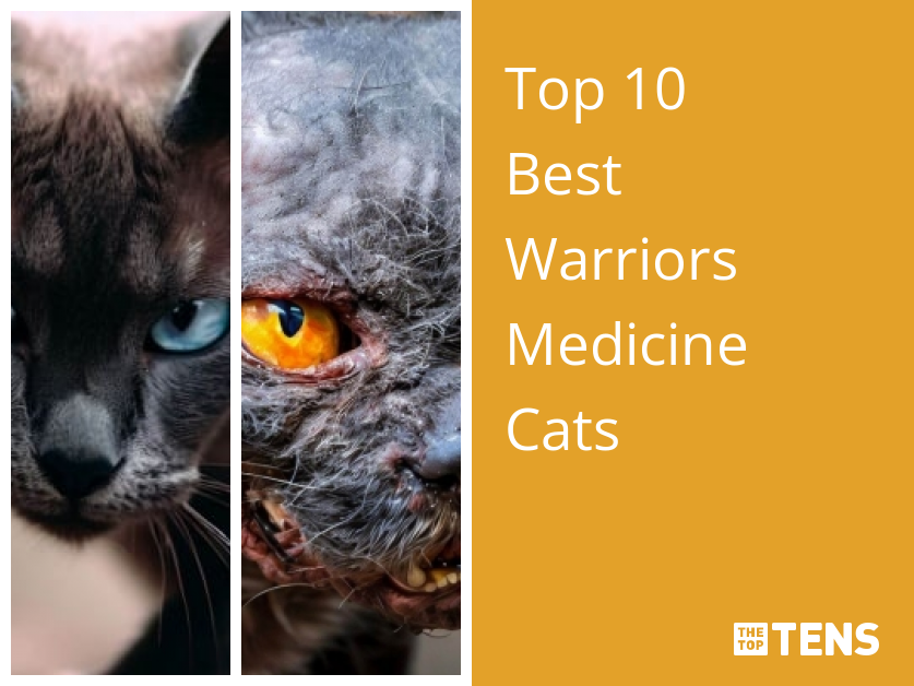 Top 10 Warrior Cats Villains - TheTopTens