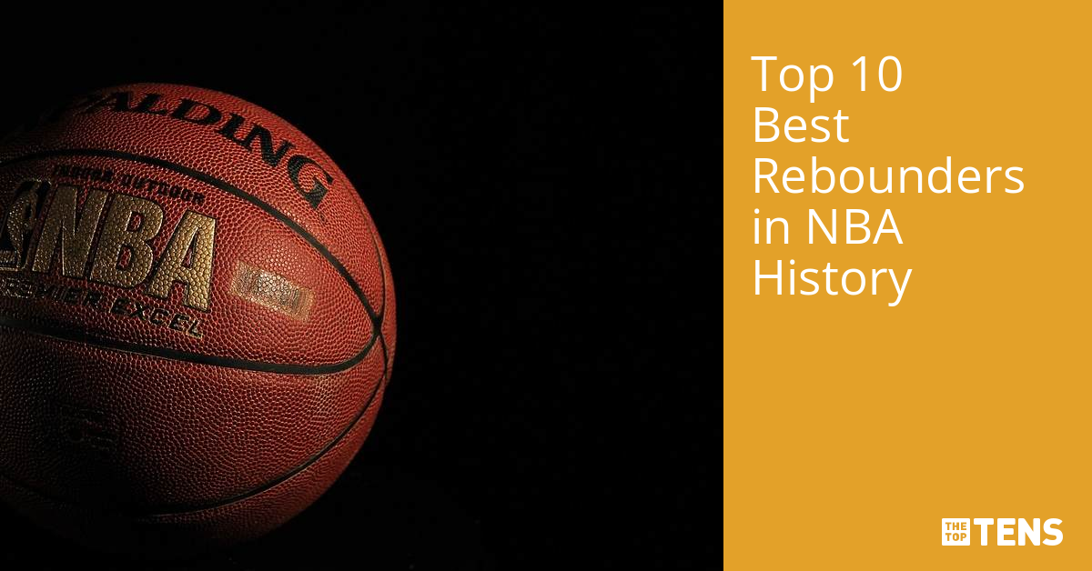 Top 10 Best Rebounders in NBA History TheTopTens