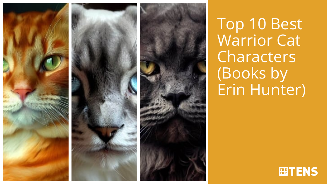 TOP TEN MOST FORGOTTEN WARRIOR CAT CHARACTERS(please read the description  about the video is about) 