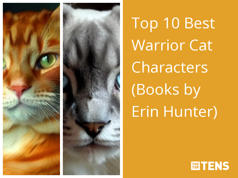 My top 10 Warriors characters! Can you recognize them all? :P : r/ WarriorCats