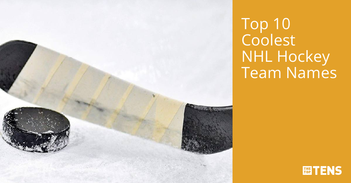 Top 10 Coolest NHL Hockey Team Names TheTopTens
