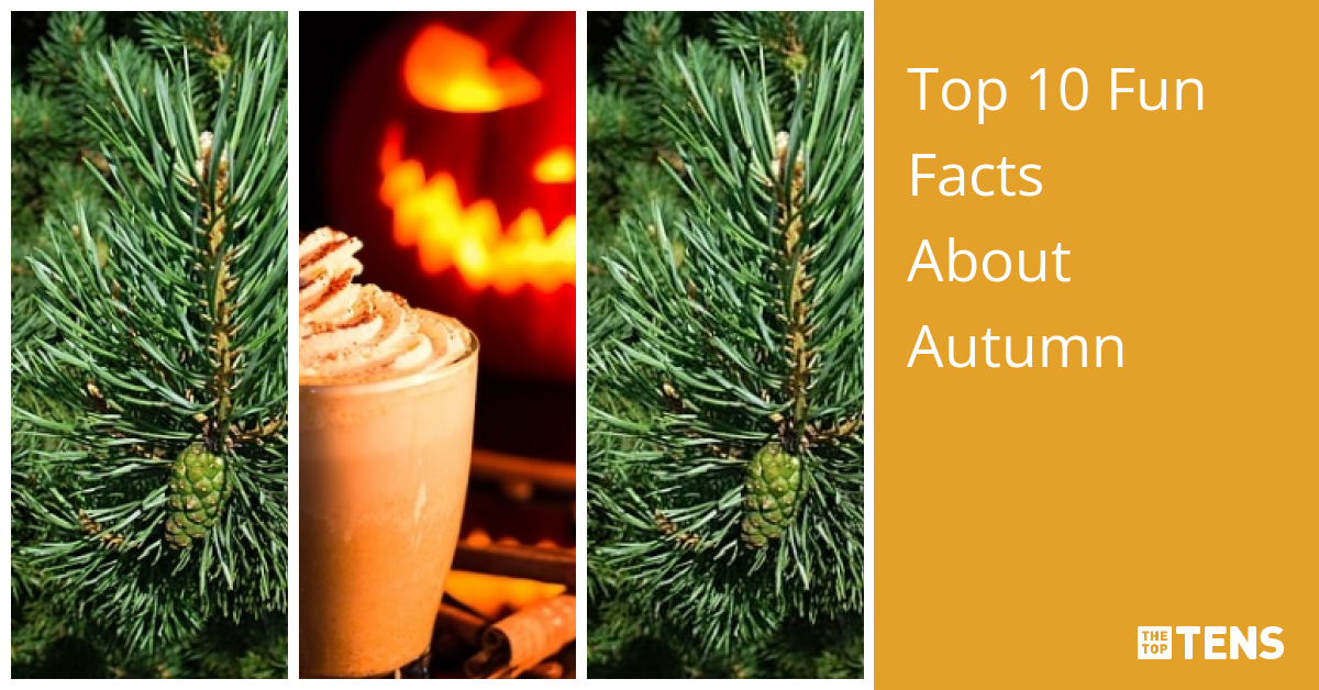 Top 10 Fun Facts About Autumn TheTopTens