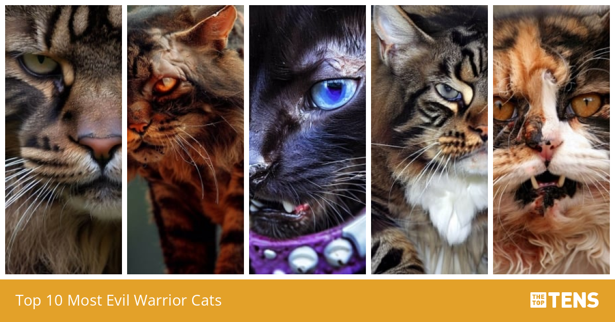 The Top Ten Most Evil Warrior Cat Villains 