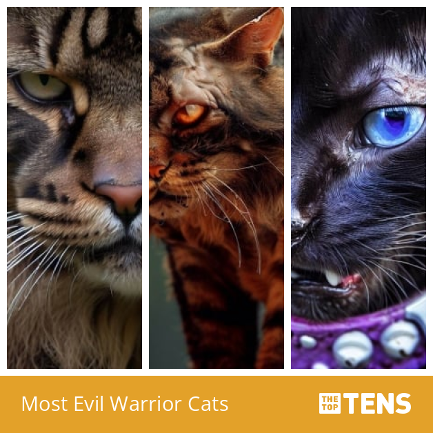 The Top Ten Most Evil Warrior Cat Villains 