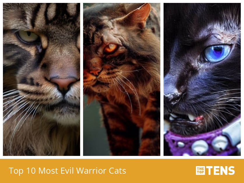 The Top Ten Most Evil Warrior Cat Villains 