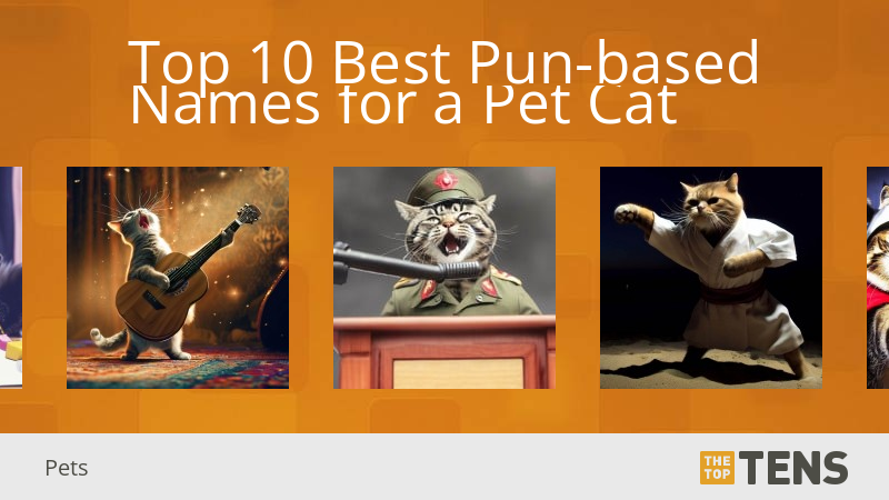 Top 10 Best Pun based Names For A Pet Cat TheTopTens