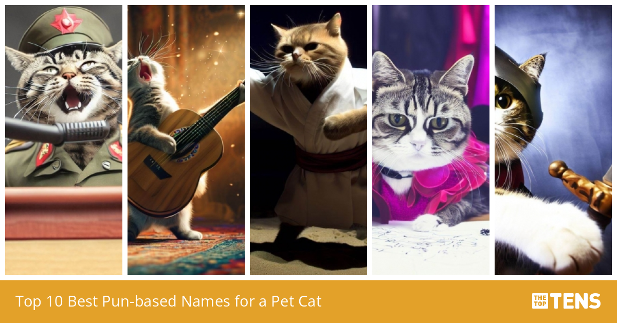 top-10-best-pun-based-names-for-a-pet-cat-thetoptens