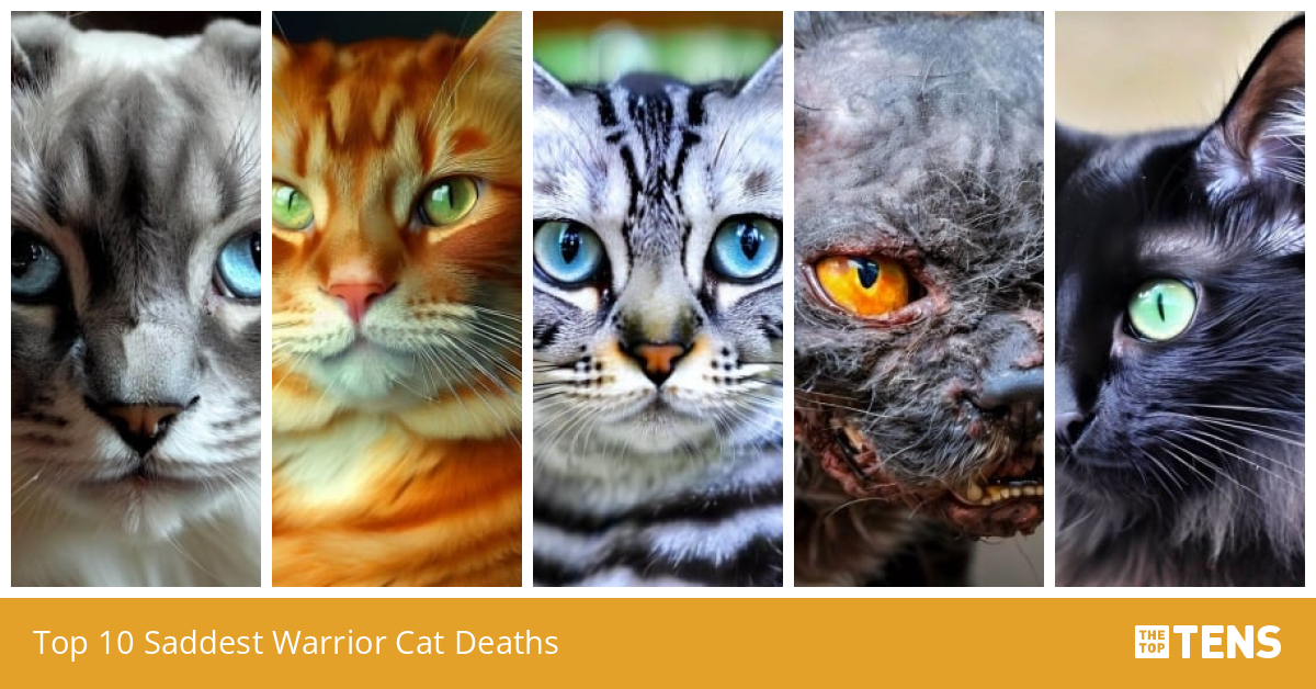 Top 10 Saddest Warrior Cat Deaths