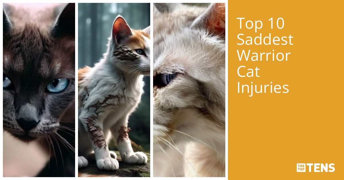 Top 10 Saddest Warrior Cat Injuries - TheTopTens