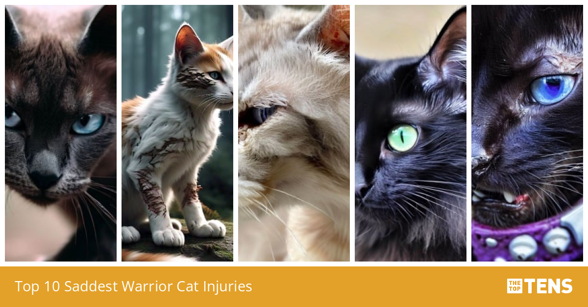 Top 10 Saddest Warrior Cat Injuries - TheTopTens