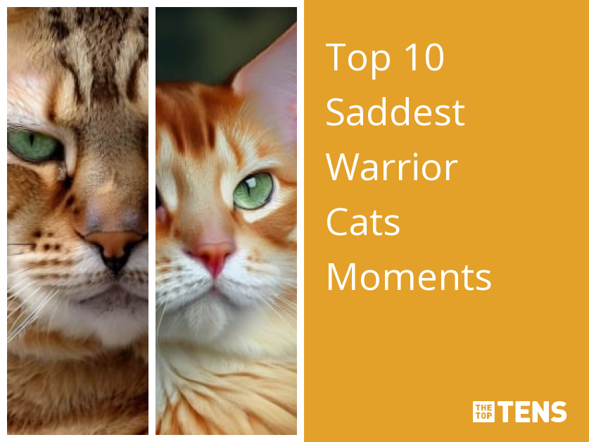 Top 10 Warrior Cats Villains - TheTopTens