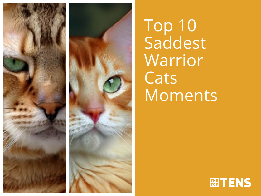 Top 10 Best Warriors (Warrior Cat) Books - TheTopTens