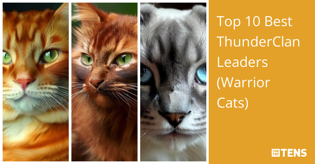 Top Best Thunderclan Leaders Warrior Cats Thetoptens