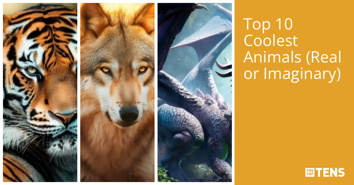 Top 10 Coolest Animals (Real or Imaginary) TheTopTens