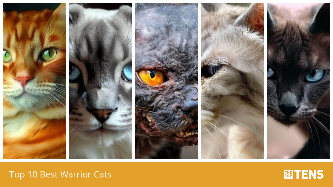 Top 10 Best Warrior Cats - TheTopTens