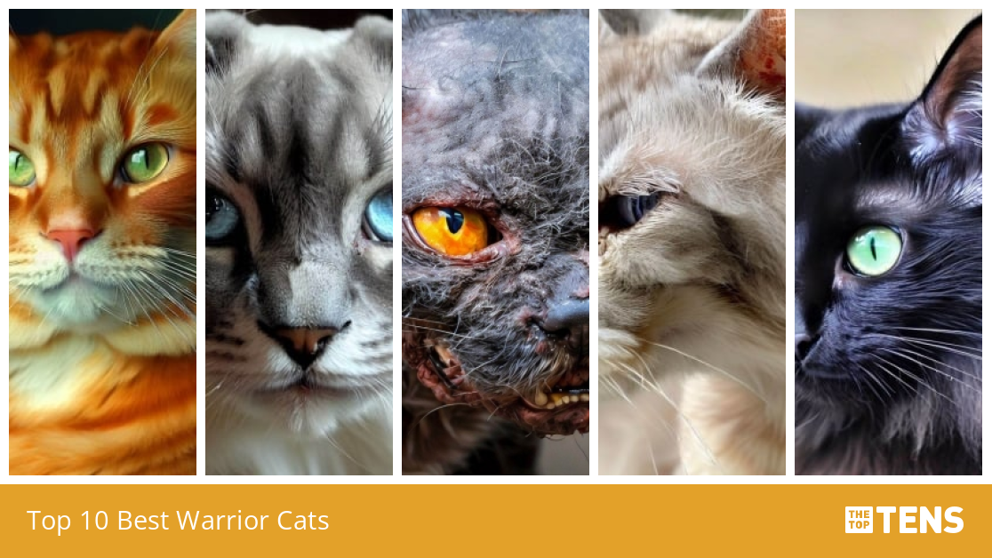 The Top Ten Most Evil Warrior Cat Villains 