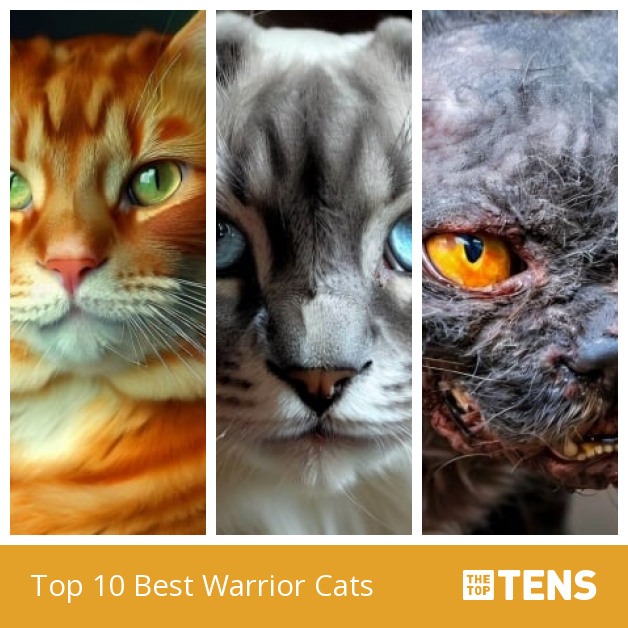 Top 10 Best Warriors (Warrior Cat) Books - TheTopTens