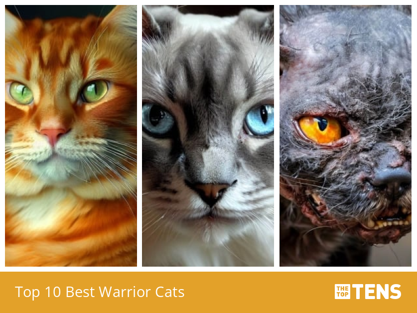 Top 10 Warrior Cats Villains - TheTopTens