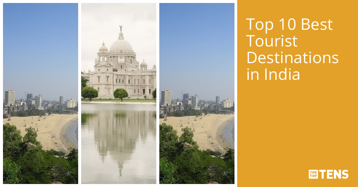 Calculator visual data 5