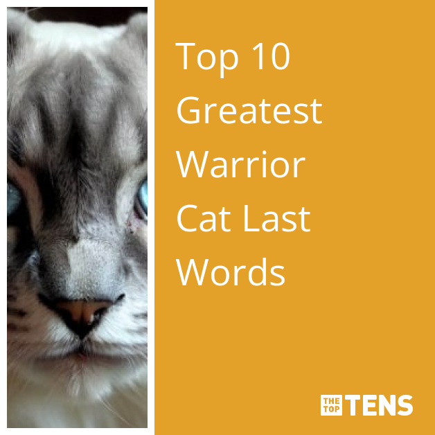 Top 10 She-Cats in Warrior Cats 