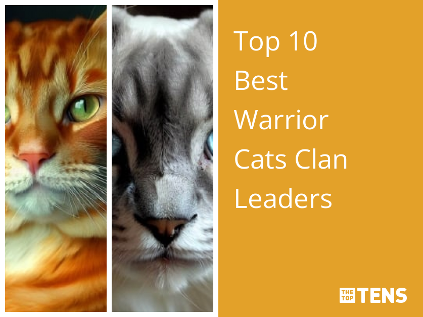 The Top 5 Best Best Warrior Cat Villains by Tansypool – BlogClan