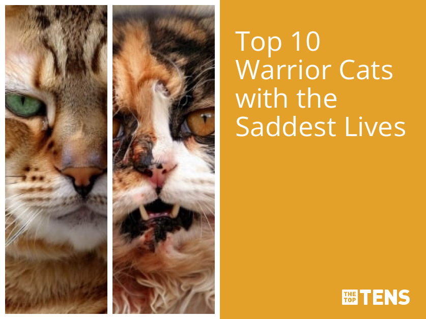 Top 10 WORST Warrior Cats Characters 