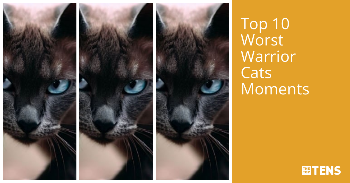 Top 10 Worst Warrior Cats Moments Thetoptens