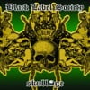 In This River - Black Label Society Cover Art