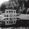 Black Rose Immortal - Opeth Cover Art