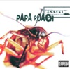 Between Angels and Insects - Papa Roach Cover Art