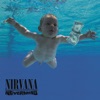 Smells Like Teen Spirit - Nirvana Cover Art