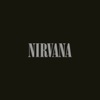 Heart Shaped Box - Nirvana Cover Art