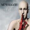 Bleed - Meshuggah Cover Art