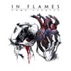 Take This Life - In Flames Cover Art
