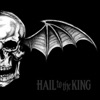 Hail to the King - Avenged Sevenfold Cover Art