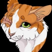 Top 10 Prettiest and Most Beautiful Female Warrior Cats - TheTopTens