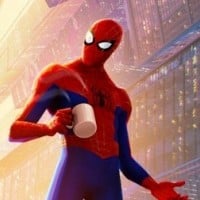 Peter B. Parker / Spider-Man
