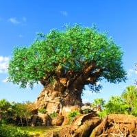 Tree of Life (Disney’s Animal Kingdom)