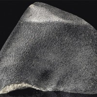 The Zagami Martian Meteorite
