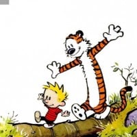Calvin (Calvin & Hobbes)