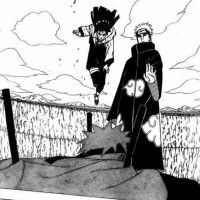 Hinata protecting Naruto against Pain