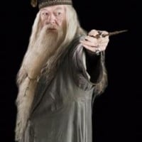 Albus Dumbledore - Harry Potter
