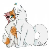 Brightheart x Cloudtail