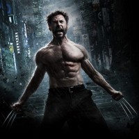 Wolverine