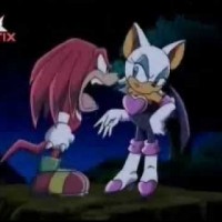 Knuckles & Rouge (Sonic)
