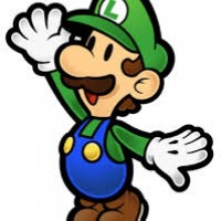 Mario not including Luigi on Paper Mario