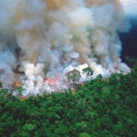 2019 Amazon Rainforest Wildfires